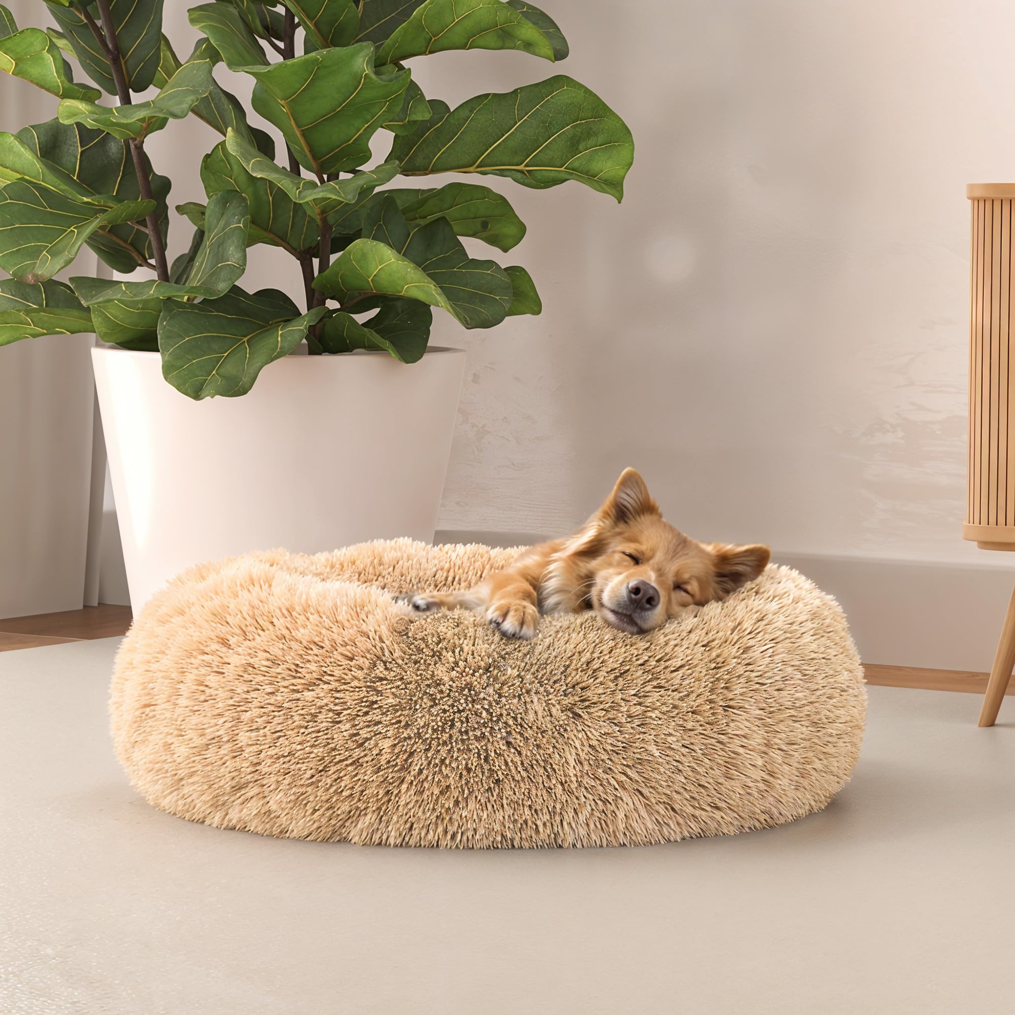 Panier pour chiens et chats doux lit carré polyester vanille Italian Bed Linen Dreams