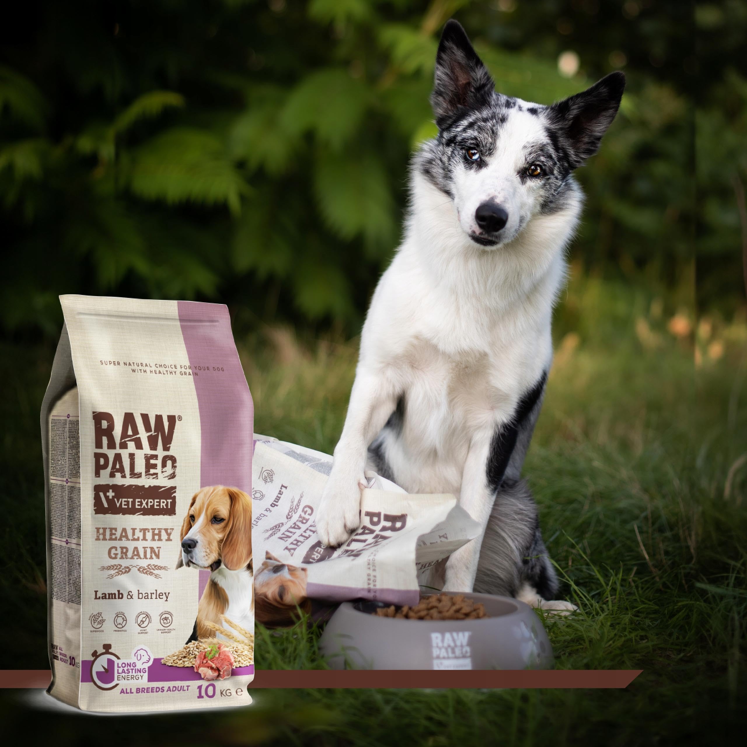 HEALTHY GRAIN ADULT LAMB - sucha karma z jagnięciną dla psów dorosłych 10kg