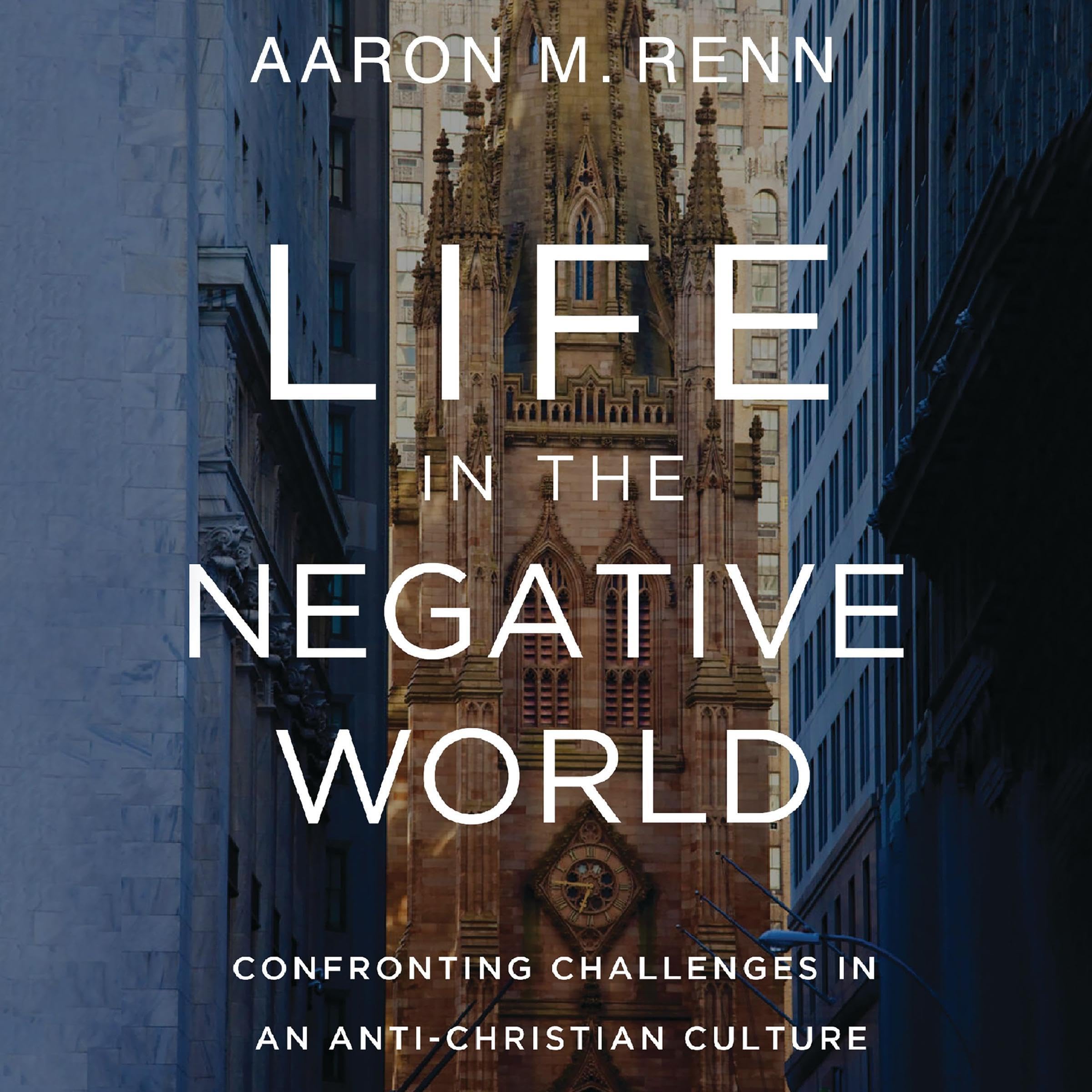 Cover art for Life in the Negative World