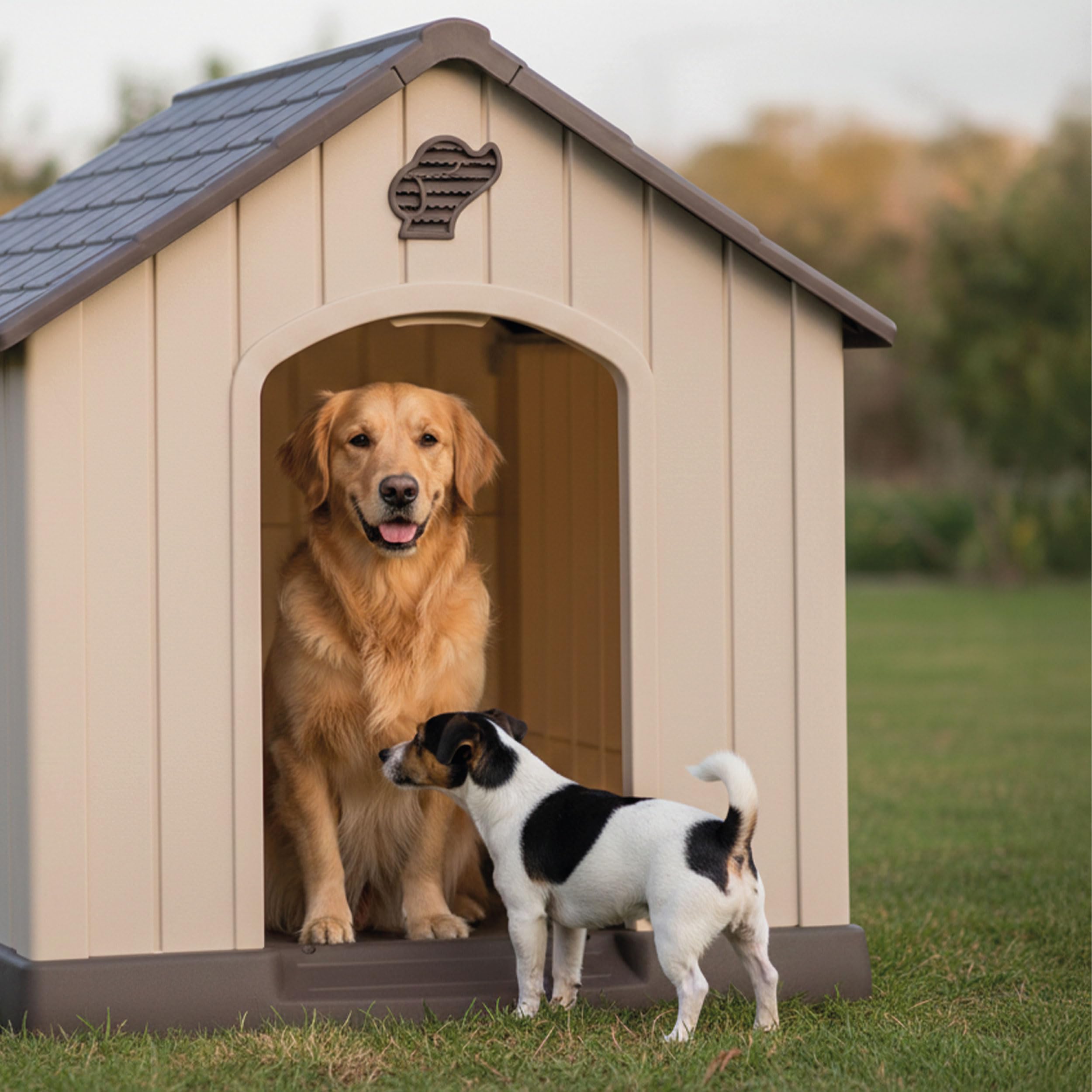 Aqpet Cuccia per Cani in Plastica Impermeabile da Esterno e Interno – Casetta con Pavimento Rialzato e Sistema di Ventilazione – Rifugio Resistente per Cani di taglia Grande 93x99x98hcm