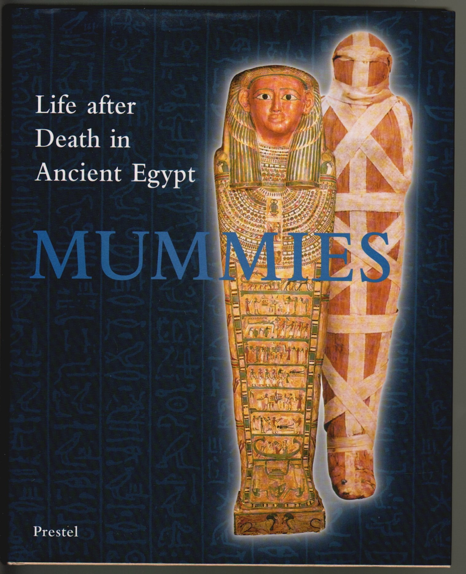 Mummies: Life After Death in Ancient Egypt Idée cadeau pour passionné d'histoire