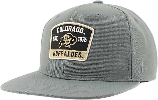 Zephyr Michigan Wolverines Official NCAA Snapback Hat - Flat Brim, Gray, Adjustable