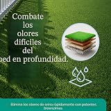 Ver la foto 6