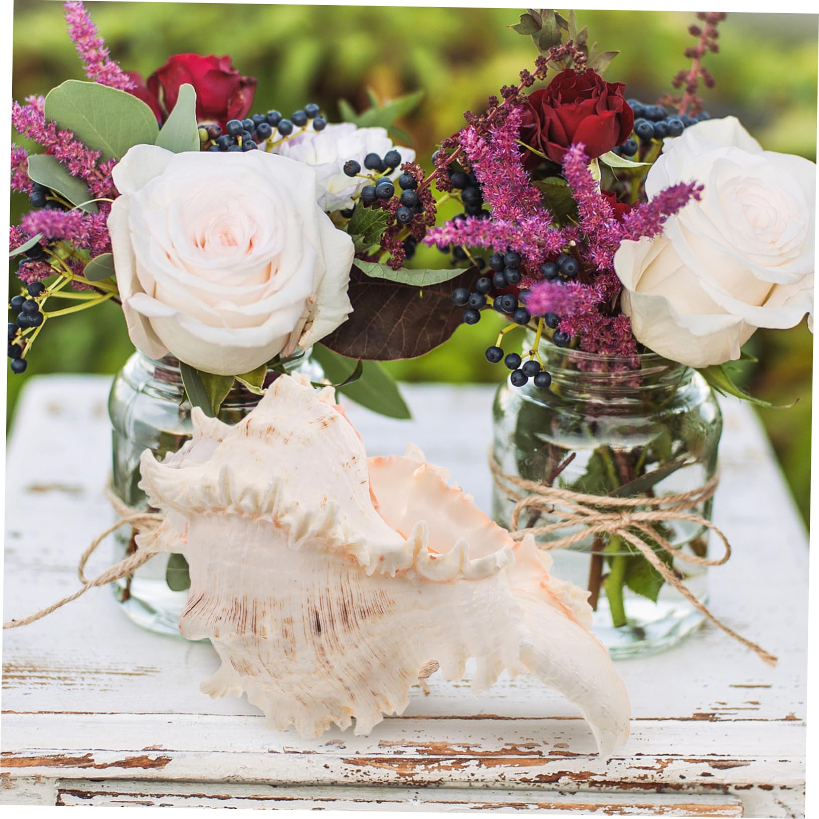 ABOOFAN Conchiglie Naturali Beige in Conch per Decorazioni Versatili da Vase Filler, Perfette per Centrotavola Matrimonio a Tema Spiaggia e Arredamento