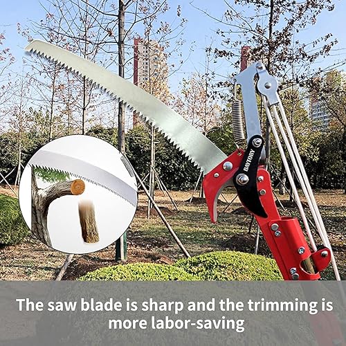 Miniatura 9 de Sierra de podadora de árboles extensible, ramas de alta altitud, tijeras de podar cabeza, recolector de frutas, herramienta de poda para jardín de