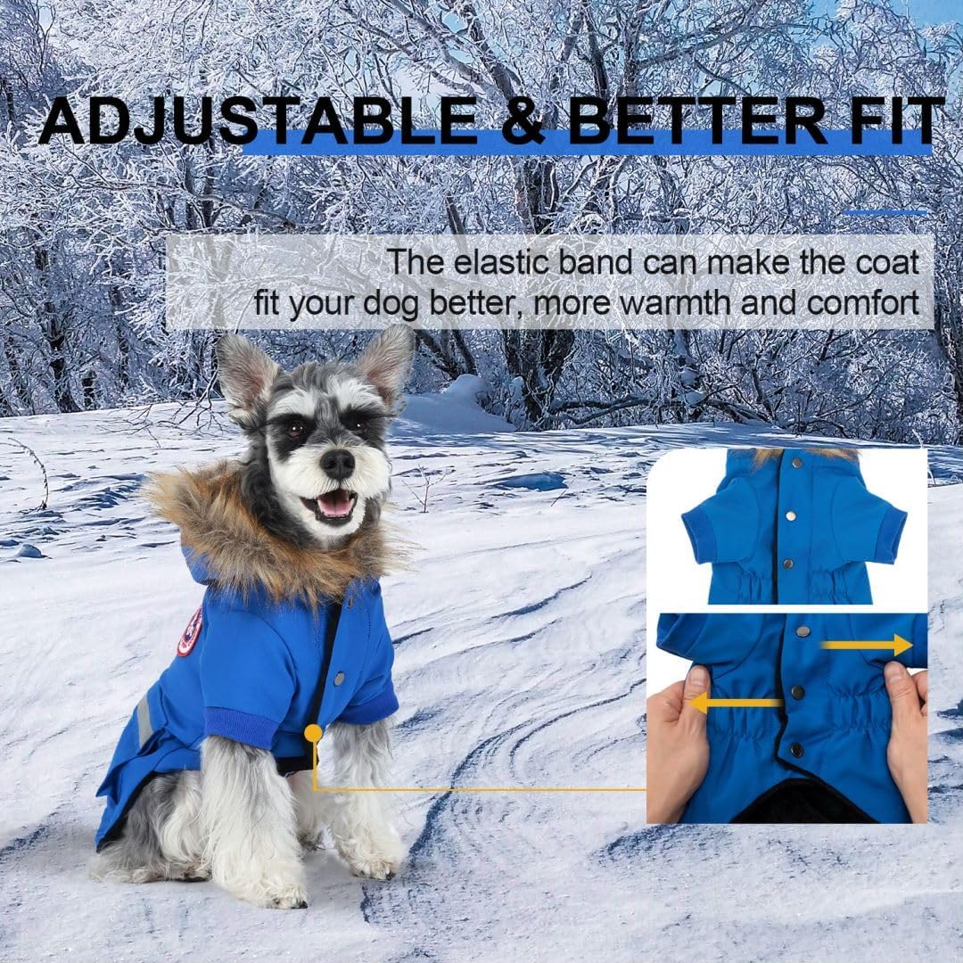 PINA Cappottini per cani di piccola taglia, giacca invernale impermeabile con fodera in flanella, cappuccio in pelliccia sintetica e tasca