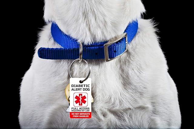 Foto 4 de 6 de Just 4 Paws Service, Esa, PTSD y Terapia Perro Clave y Etiqueta para ADA & FHact Servicio y Apoyo Animales