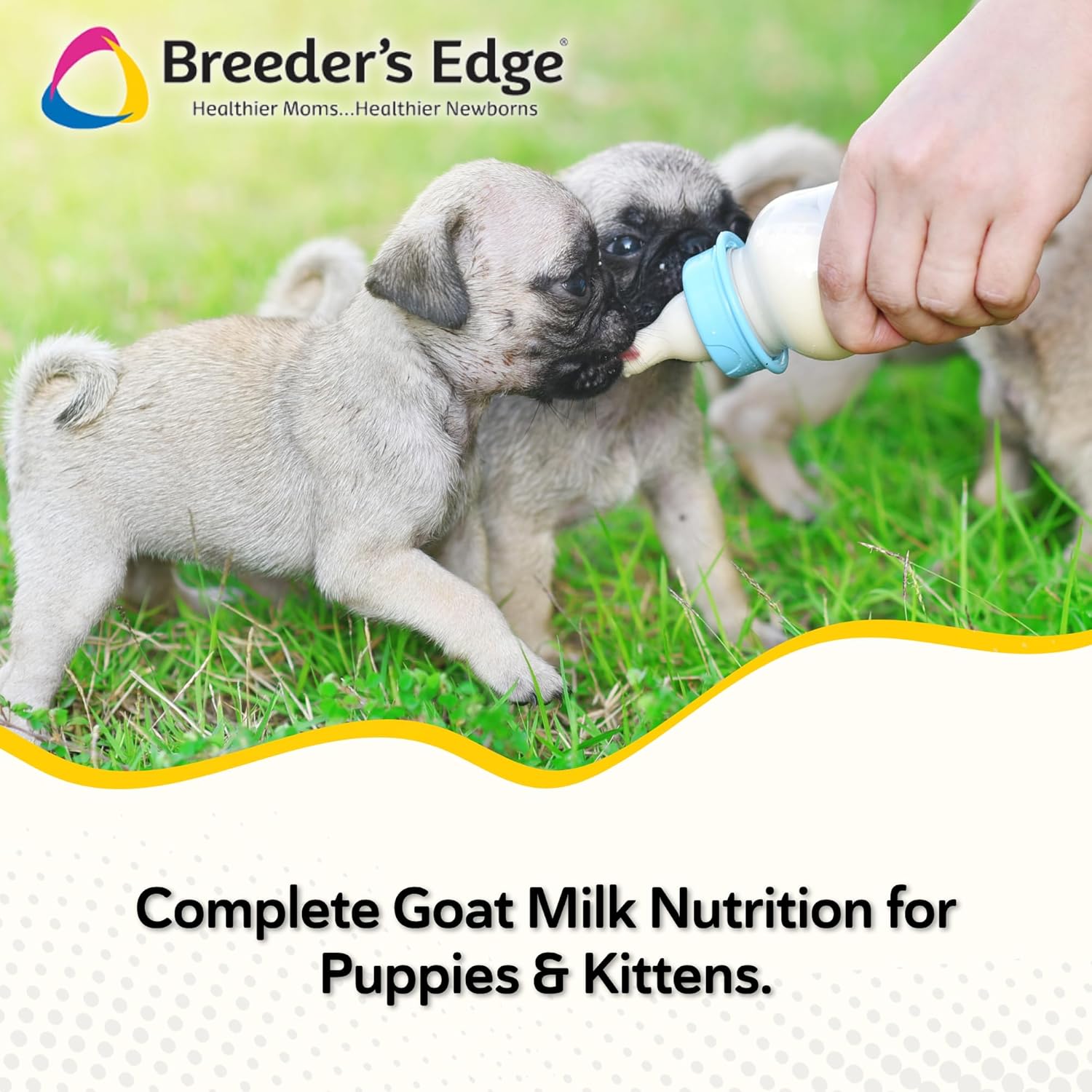 Breeder's Edge Foster Care GM - Goat Milk Based Powdered Milk Replacer - Puppies , Kittens , Cats & Dogs Formula - Easy Digestion - 5 lb