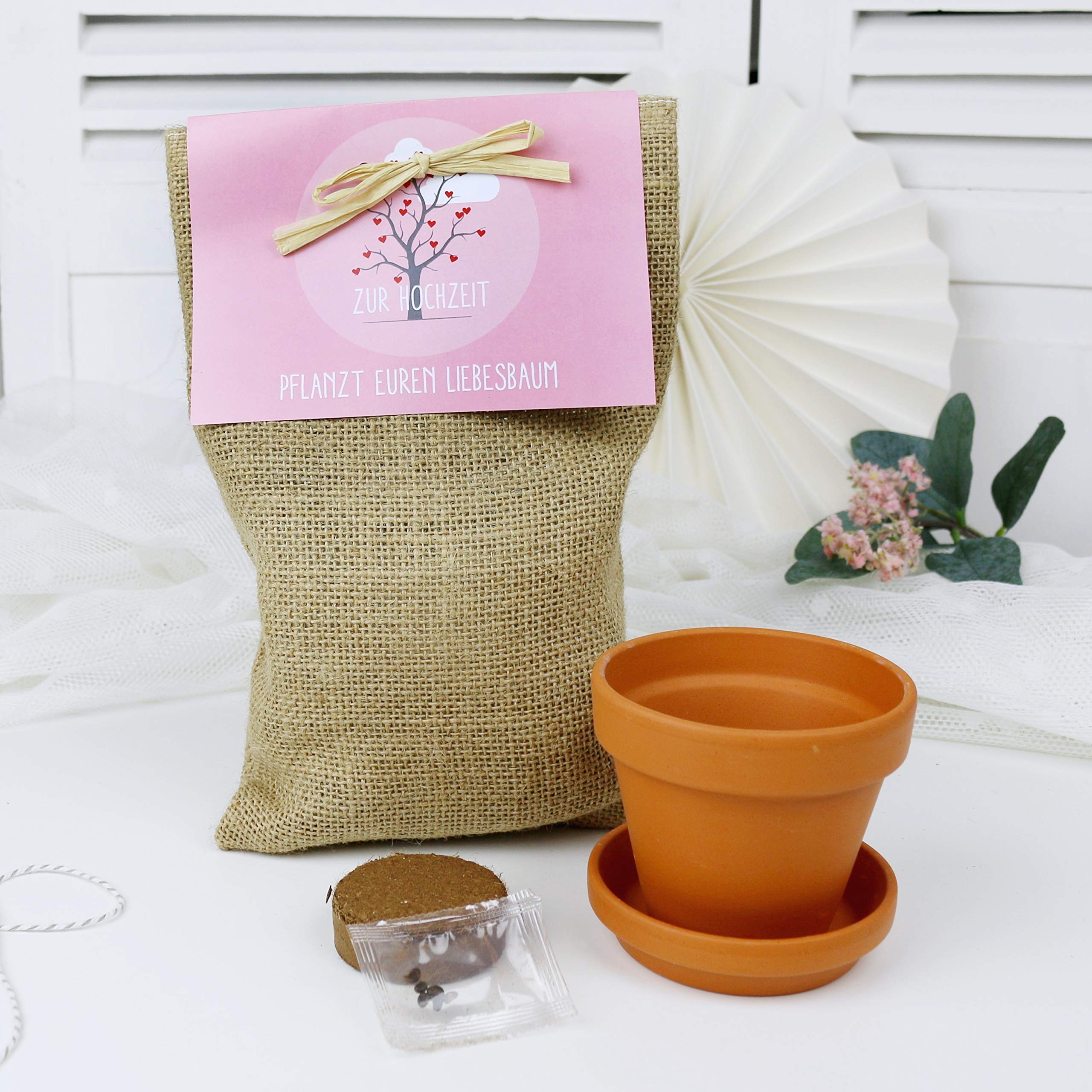 Pflanzset Baum Set Geschenkidee Zur Hochzeit Geschenk Brautpaar
