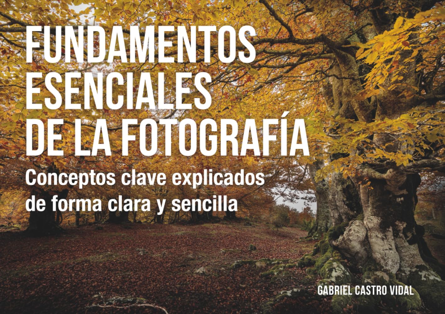 Fundamentos esenciales de la fotografía: Conceptos clave explicados de forma clara y sencilla (Fotografía Paso a Paso)