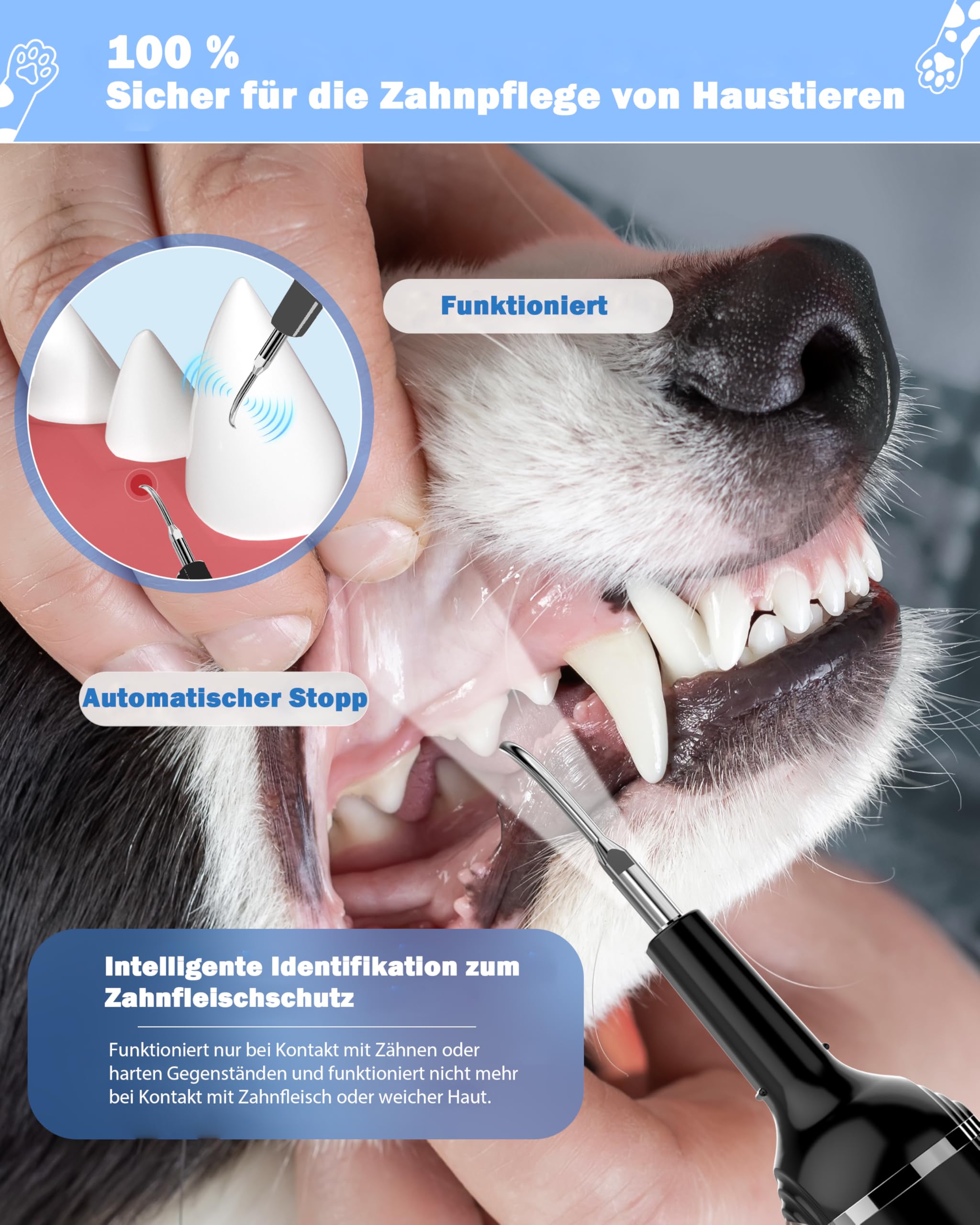 Stim-U-Dent Kit de limpieza dental ultrasónica para perro, limpiador dental para mascotas, para eliminar sarro y placa, con luz LED, cepillo de dientes para perros