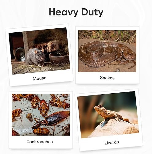 Miniatura 5 de Trampas para ratones para interiores para el hogar, pesadas (paquete de 2), trampa de serpiente pegajosa, trampas de pegamento precebadas para