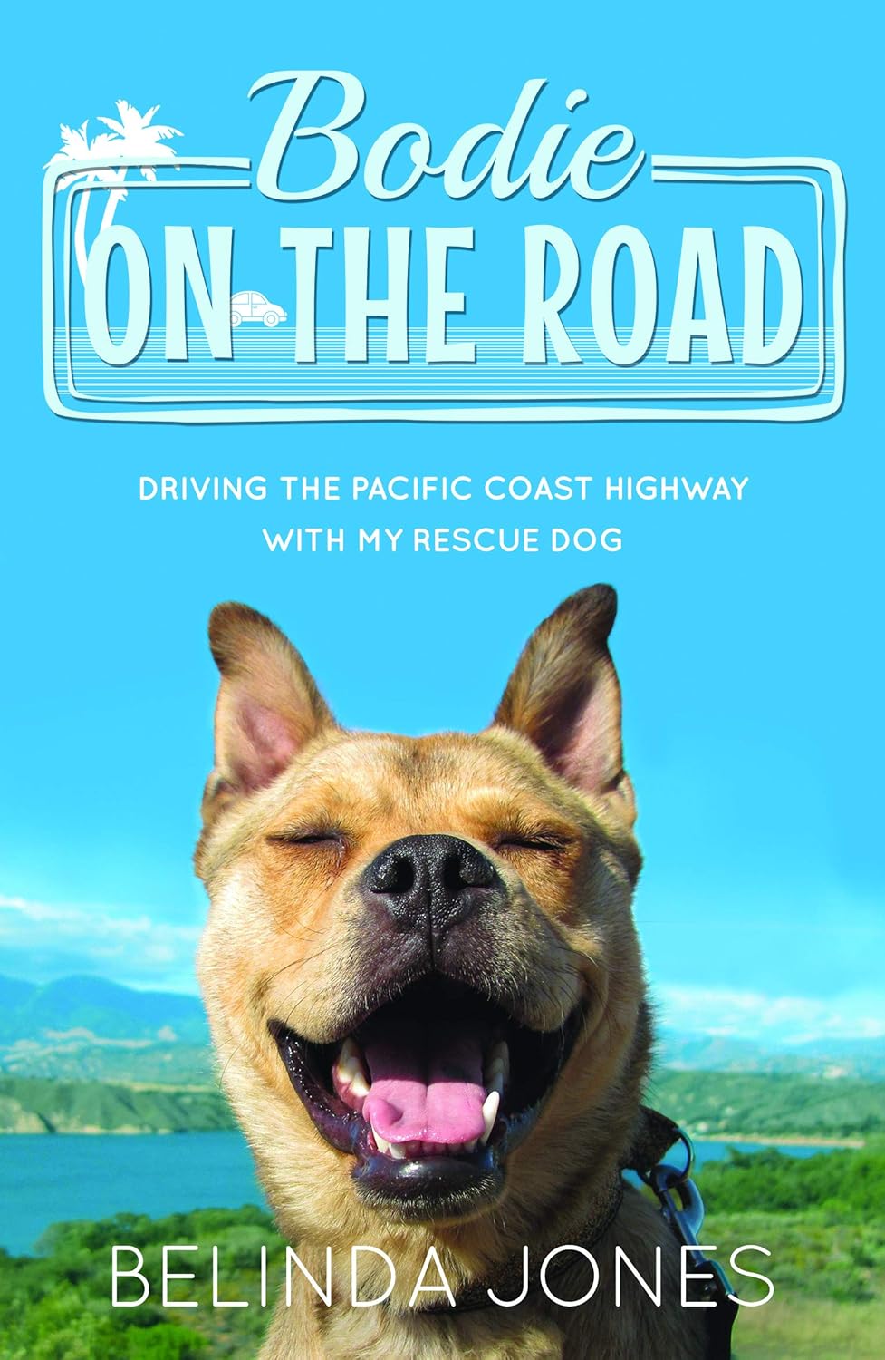 Bodie on the Road: Driving the Pacific Coast Highway with My Rescue Dog      Paperback – July 13, 2017