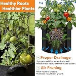 Les sacs de culture 5 C'est moi. 5 Pots de tissu en emballage 300g Sacs de culture non tissés épais avec poignées pour tomates végétales Fruits de pommes de terre Pots de jardin pour plantes à l'intérieur extérieur(12" Dia x 10" H)