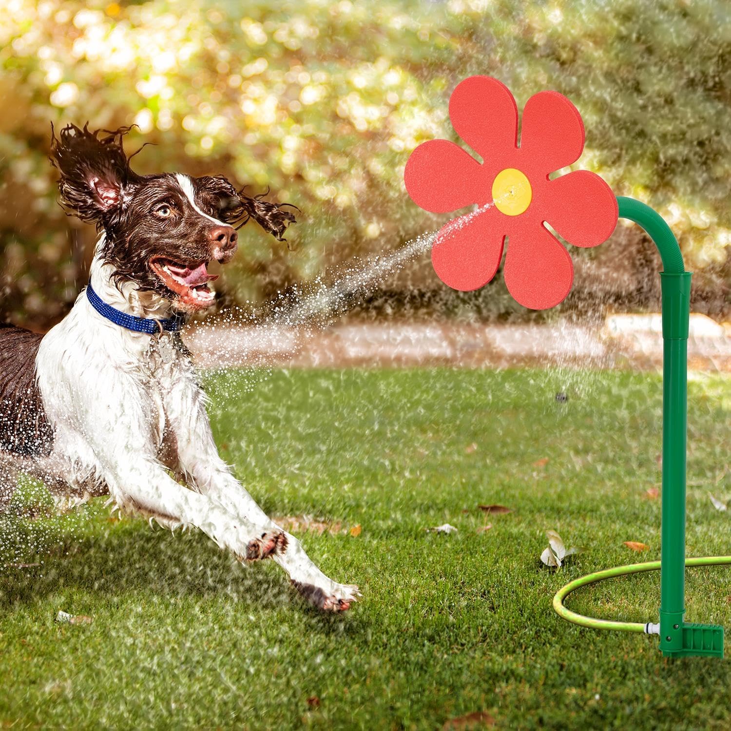 Arroseur d'eau à énergie solaire avec détecteur de mouvement, pour chats et animaux, système d'irrigation avec accessoires pour ferme, pelouse, extérieur