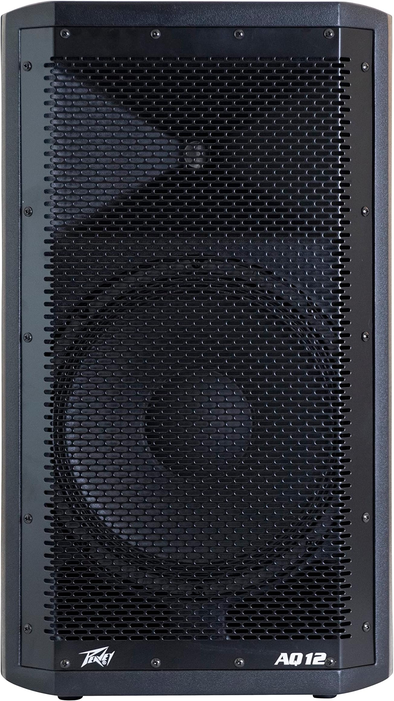 Aquarius AQ 12 Powered Speaker