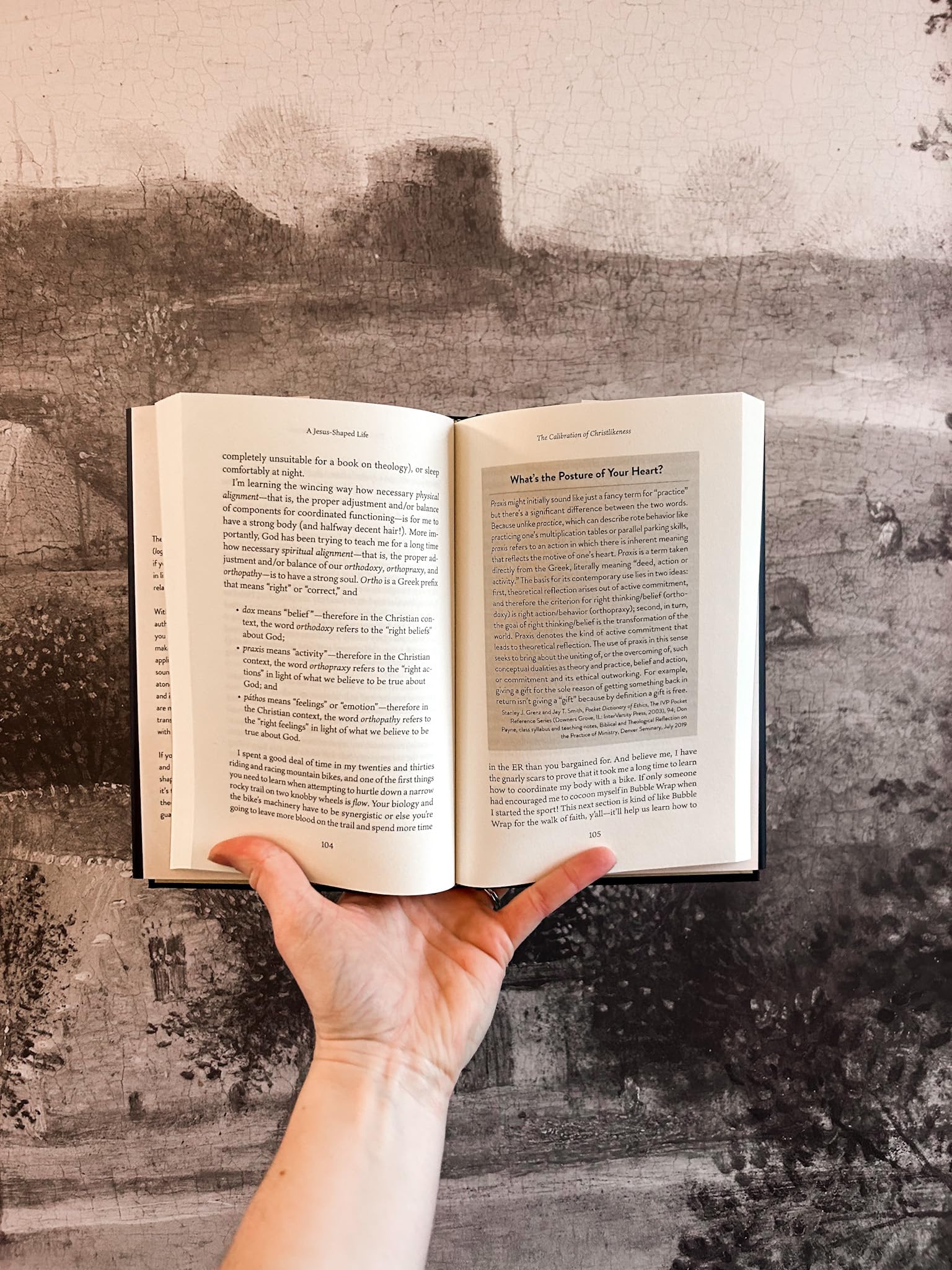 A Jesus-Shaped Life: How Diving Deeper into Theology Can Transform Us and Our World with the Radical Kindness of God - Image 5