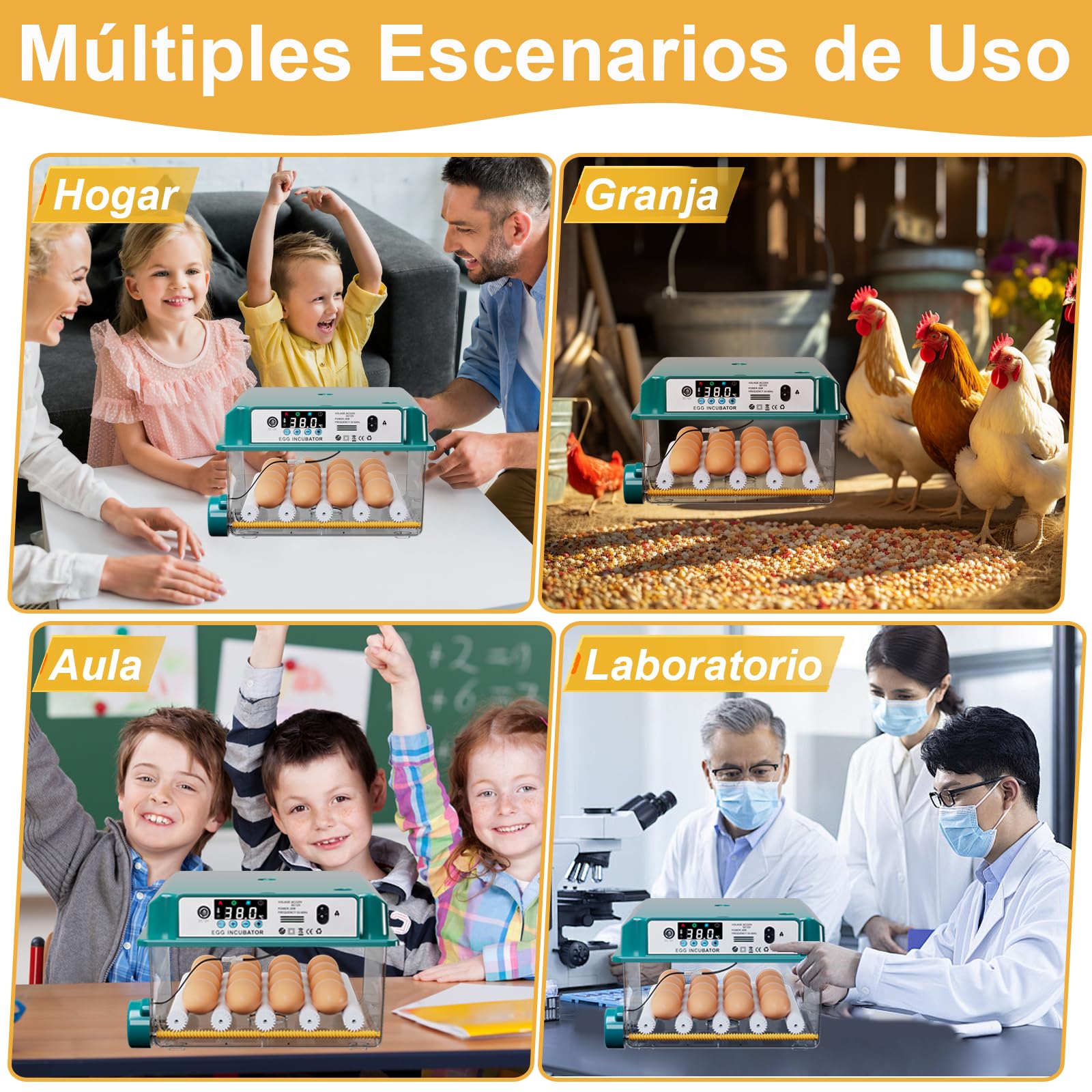 CoInceptus Incubadora Huevos Gallina, Incubadora de 12-16 Huevos con Volteo Automático de Huevos y Adición Automática de Agua, Incubadoras para Huevos de Gallina, Codorniz, Pato