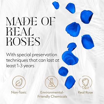 GLAMOUR BOUTIQUE Flowers Forever Gift Box, 12 Real Preserved Roses in Velvet White Box, Floral Gift for Wife, Mom or Her for Birthday, Mothers Day, Anniversary or Graduation, Blue(Color-Treated)
