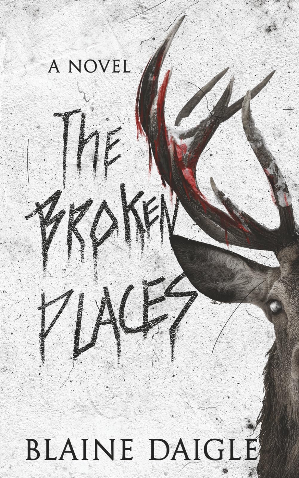The Broken Places: A Horror Novel