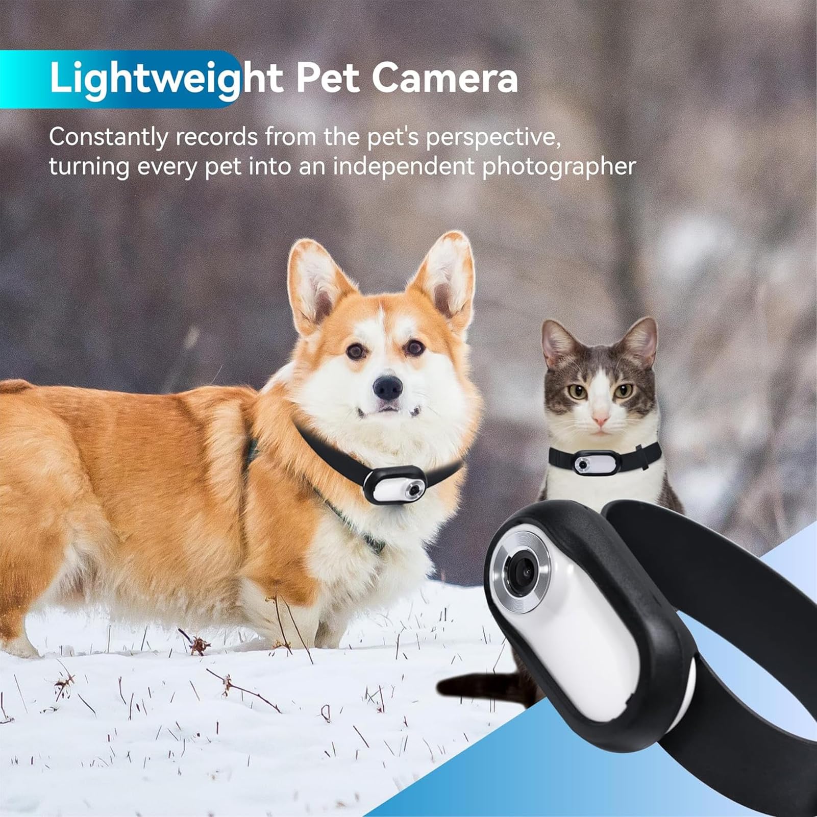 Amazon.co.jp: ペット首輪カメラ、HD 1080P猫首輪カメラ犬首輪