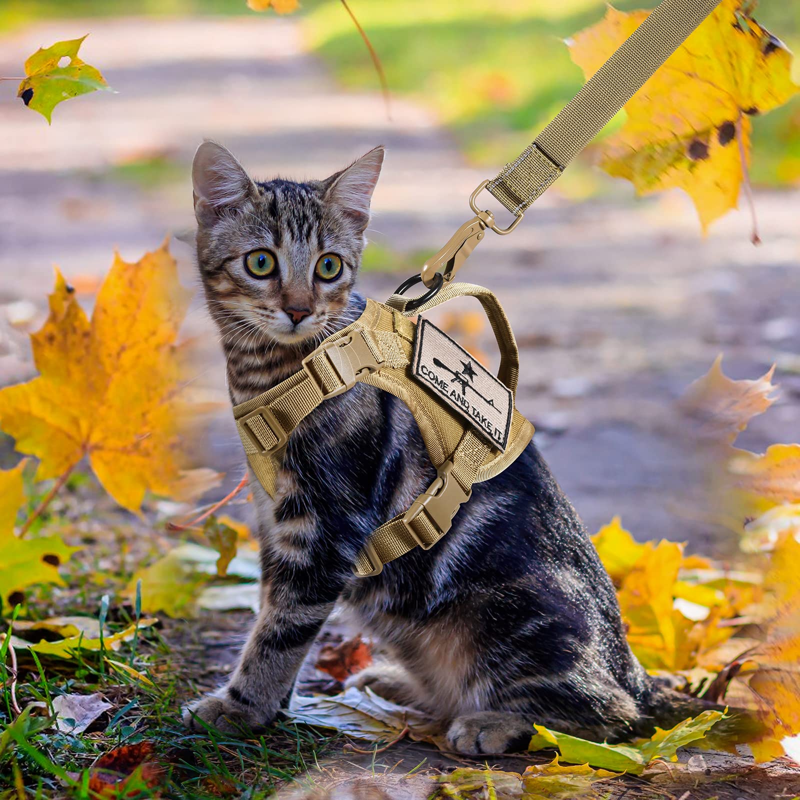 Arnés táctico y correa para gatos, chaleco grande a prueba de escape, chaleco de malla suave ajustable para mascotas con mango de control, parches Molle