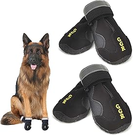 dog water shoes amazon