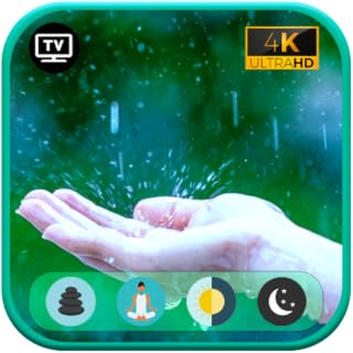 Natures Symphony: The Tranquil Harmony of Rain and Bird Song - NO ADS