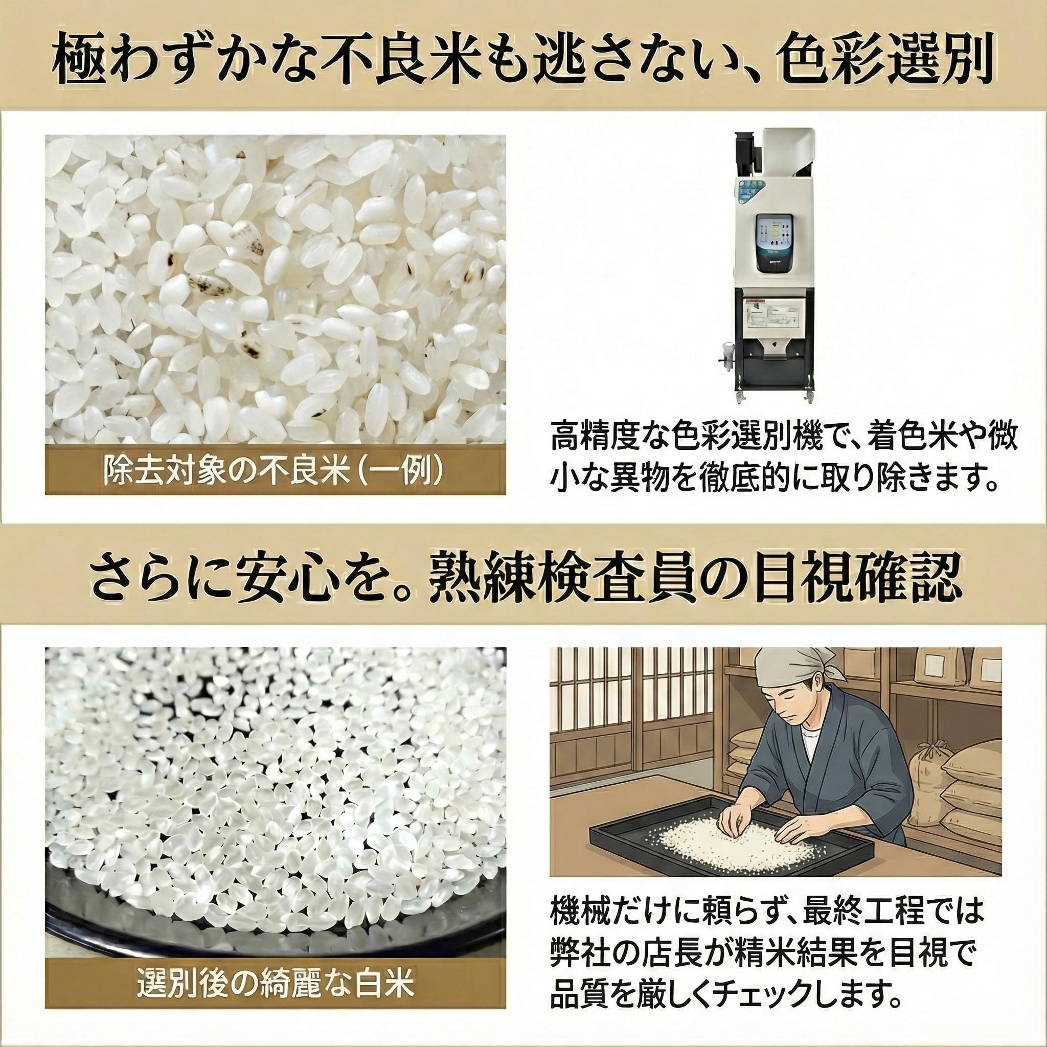 Amazon.co.jp: 丸増【白米】新米 令和7年産 埼玉県産 彩のきずな 白米