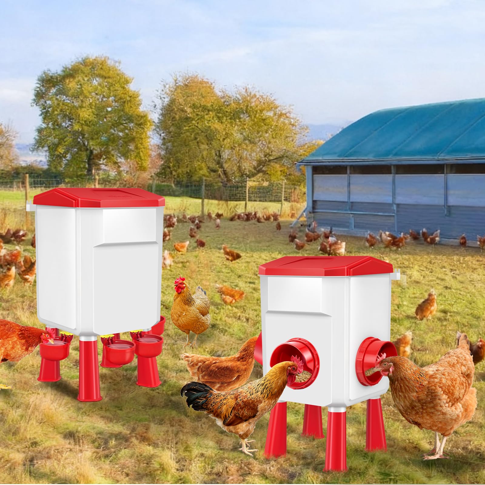 Hühnerfutterstation und Tränke Set 3 Gallon/12.0 kg, Automatischer Küken-Futterspender und Tränken Set Kein Abfall, Geflügel-Futterspender Groß für Hühner/Enten/Geflügel