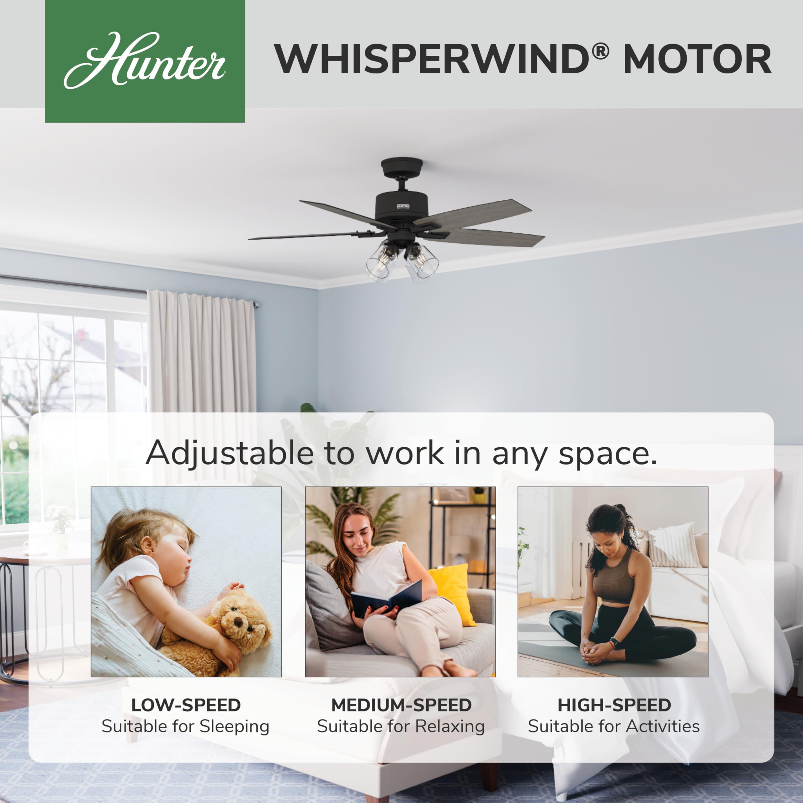 Hunter 52 inch Indoor Ceiling Fan with LED Lights and Remote
