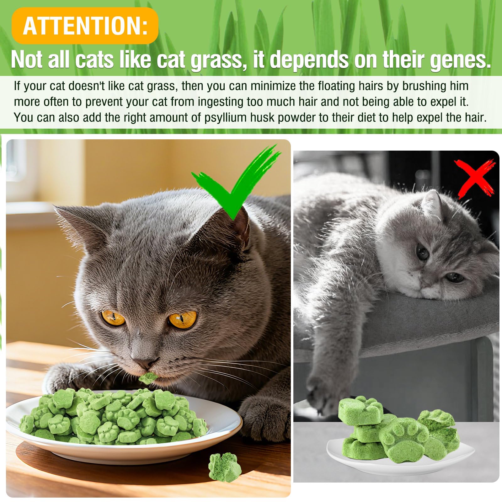 100g Bastoncini di Erba for Gatti, Snack per Gatti Erba da Gatto, Giocattolo Dentale per Gatto, Liofilizzato con Erba Gatta per la Pulizia dei Denti