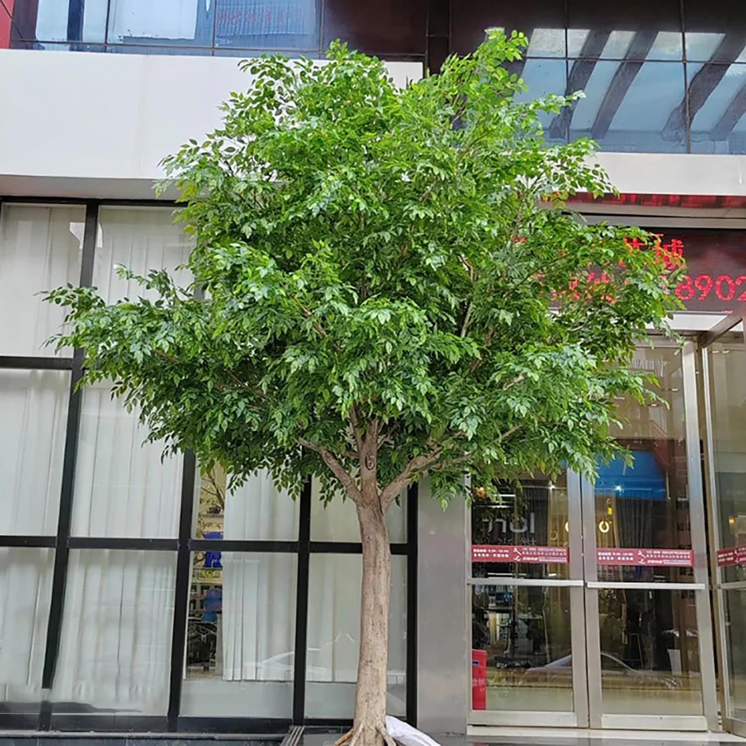 Albero di Banyan artificiale con recinzione+prato+robusta base in ferro, alberi artificiali decorativi fatti a mano, albero floreale realistico,rami in legno massello,arredamento per la casa,300*300cm