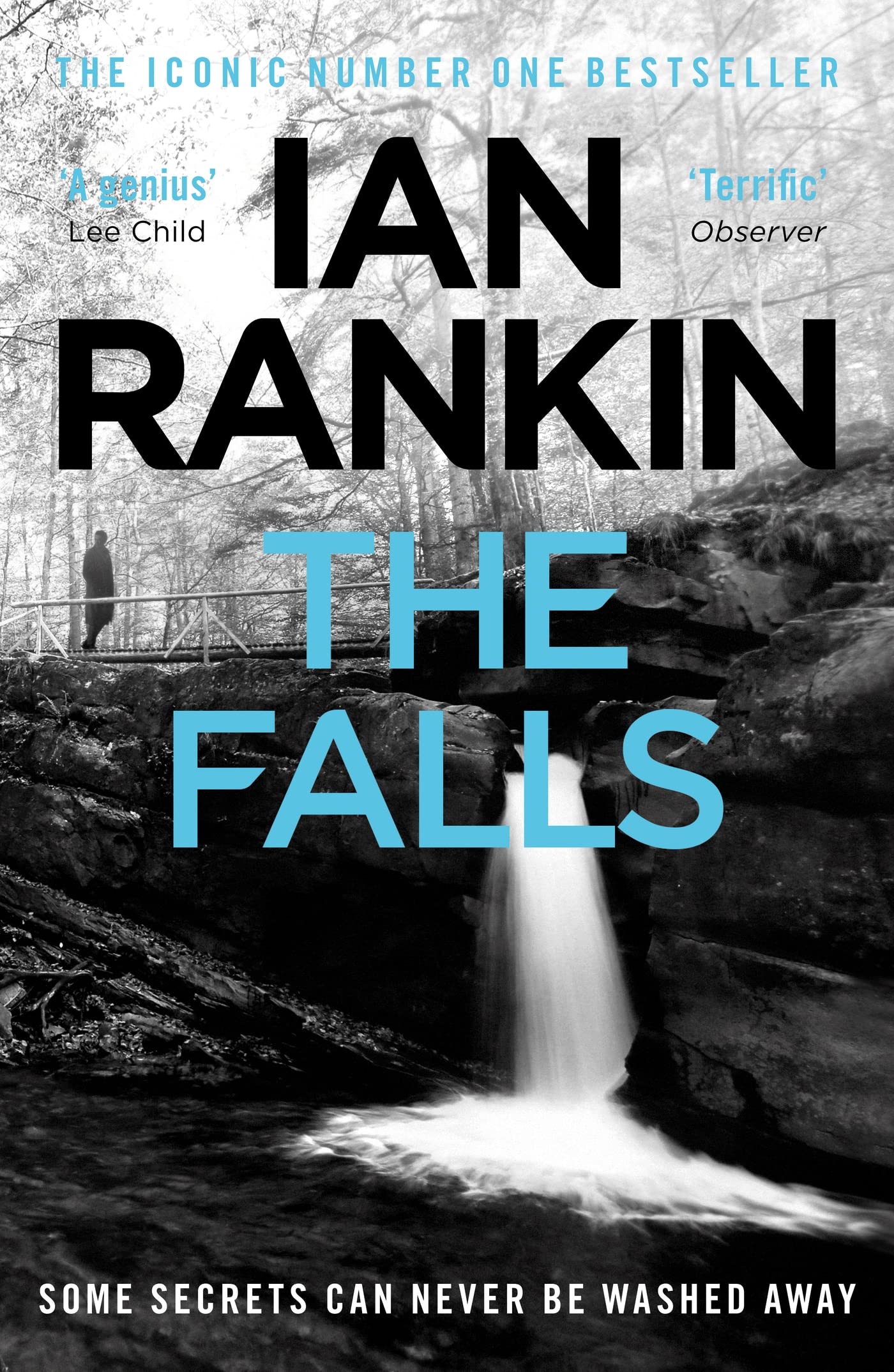 The Falls: From the iconic #1 bestselling author of A SONG FOR THE DARK TIMES (Inspector Rebus Book 12)