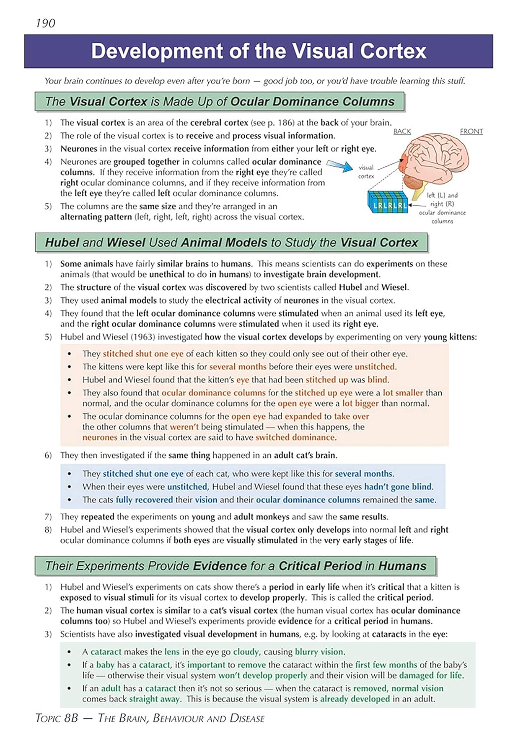 A-Level Biology: Edexcel A Year 1 & 2 Complete Revision & Practice with Online Edition: for the 2025 and 2026 exams (CGP Edexcel A-Level Biology) 11 81P5tADaOPL. SL1500