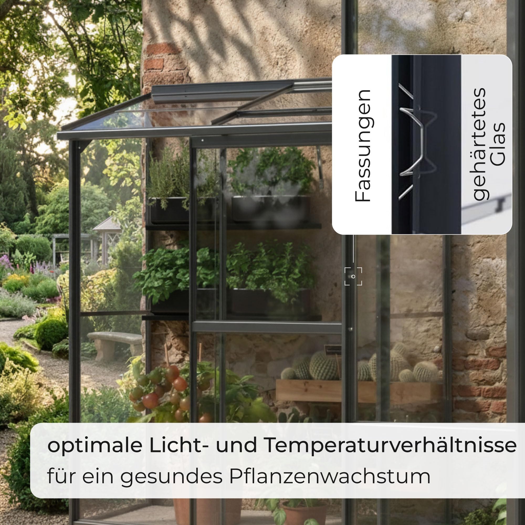 Gewächshaus Glas 0,9 m² Aluminium Rahmen mit Schiebetür | Premium Wand-Gewächshaus schwarz Temperaturkontrolle Aufstellfenster | Tomaten- und Anzuchtgewächshaus 130 x 68 x 173 cm (B x T x H)