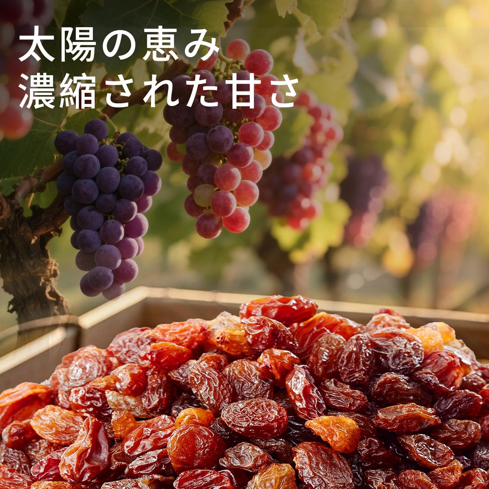 Amazon.co.jp: レーズン 1kg 無添加 砂糖不使用 干しぶどう ドライ