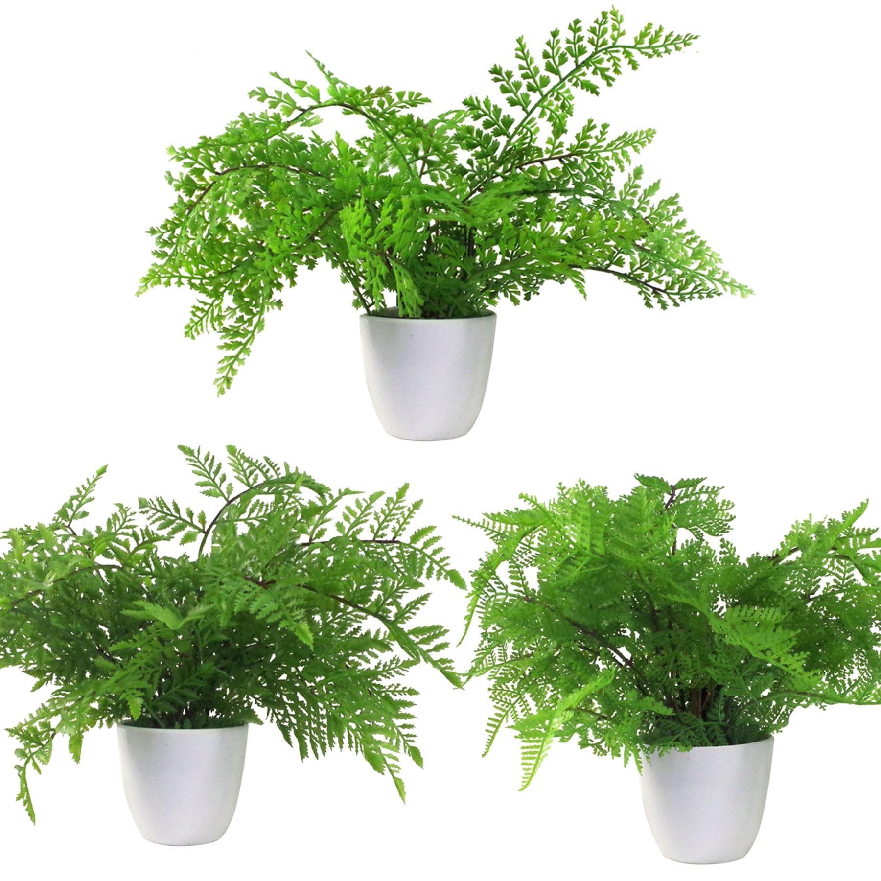 Leaf Pack 3 Ferns Design Uk Artificial Realistic Potted House Plants,30Cm