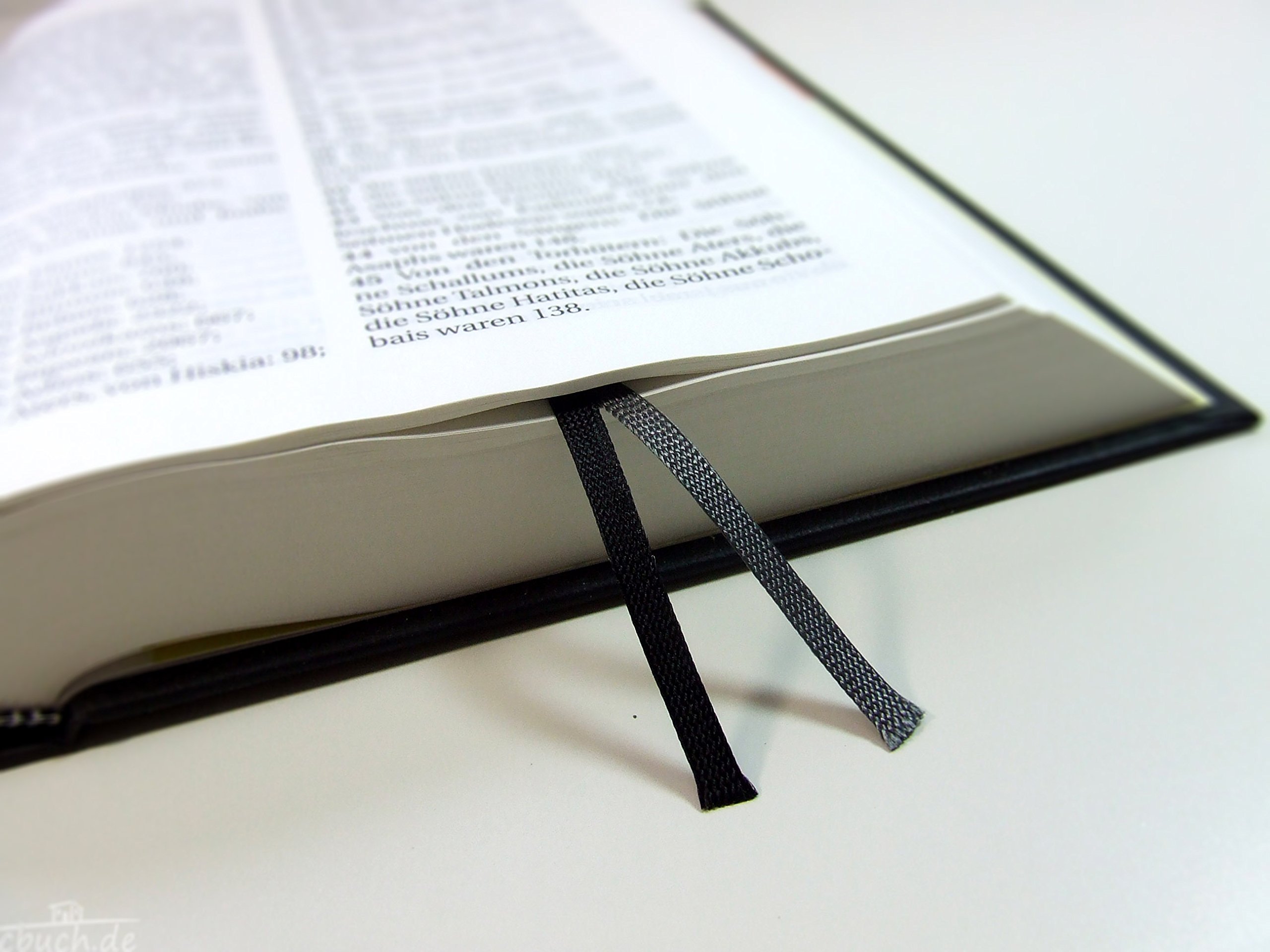 Schlachter 2000 Bibel - Großdruckausgabe (Hardcover, schwarz): Großdruckausgabe, Cover schwarz / Fadenheftung / ohne Parallelstellen