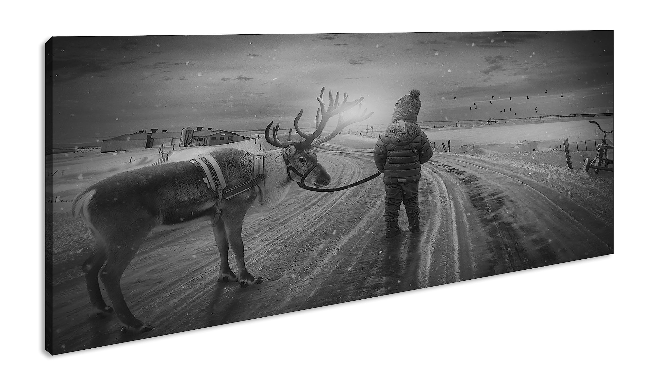 Viaje de invierno con un reno panorámico, 100 x 50 cm, efecto: negro/blanco como lienzo, diseño enmarcado sobre marco de madera auténtica, impresión digital de alta calidad con marco