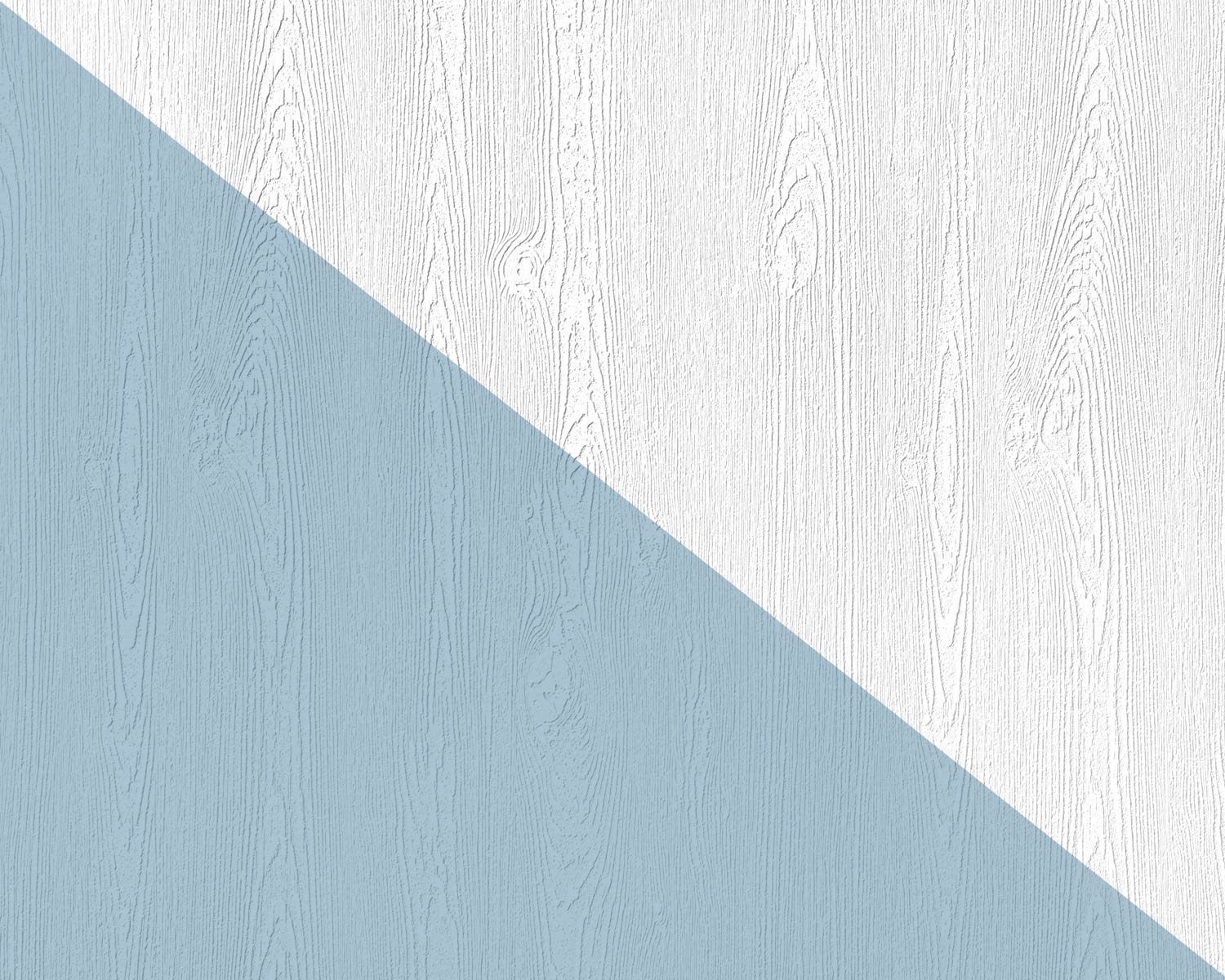 Papier peint intissé aspect bois mat blanc EDEM pour salon lumineux et chaleureux