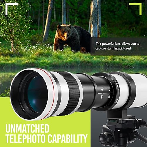 Miniatura 3 de Lente de zoom manual de alta potencia 16.535-62.992 in f8.3 HD para cámaras Canon EOS 80D, 90D, Rebel T3, T5, T7, 70D, 5D, 6D II, 7D II BLANCO