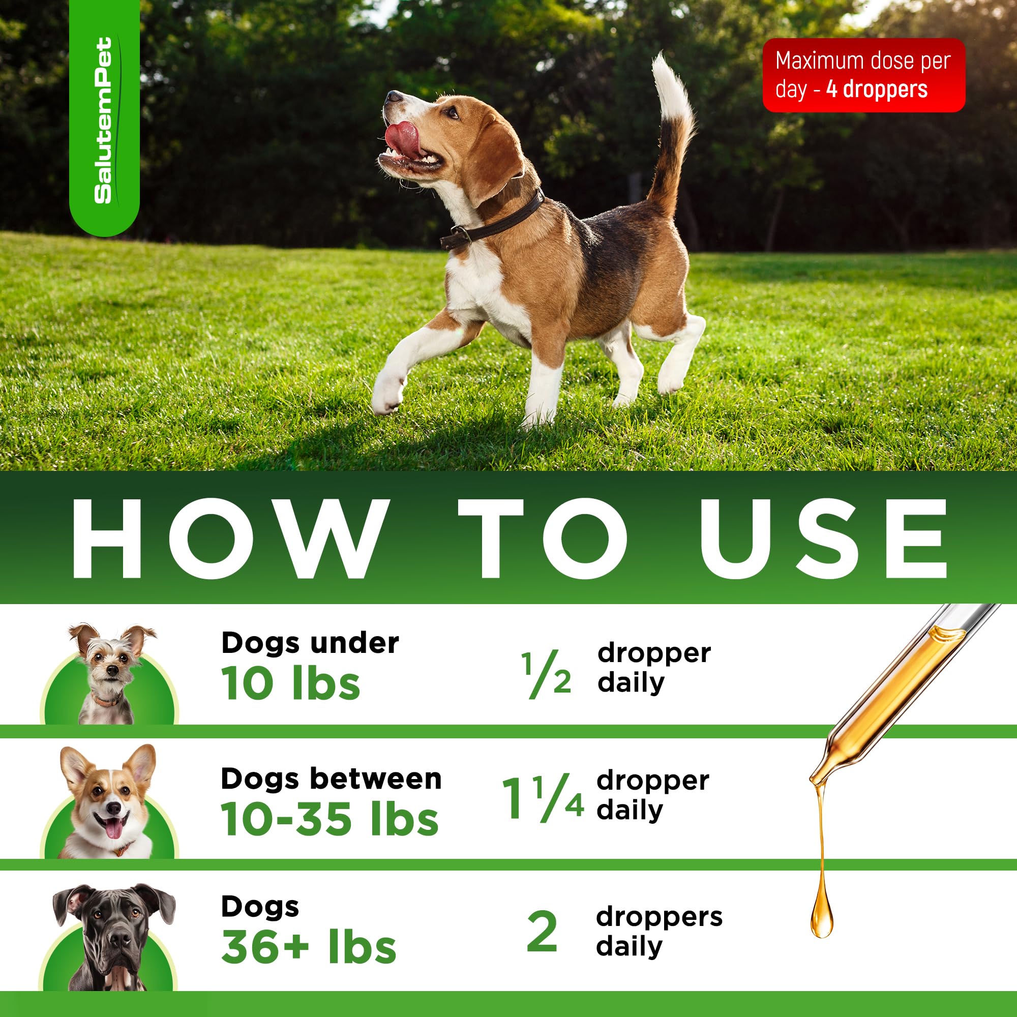 Dog Antibiotics for Infections, Cough, & Itching | Natural Antibiotics for Dogs for All Ages to Promote Wound Healing | Dog UTI Treatment and Tooth Infection Treatment | Chicken Flavor | 2 Oz — Amazon image 4