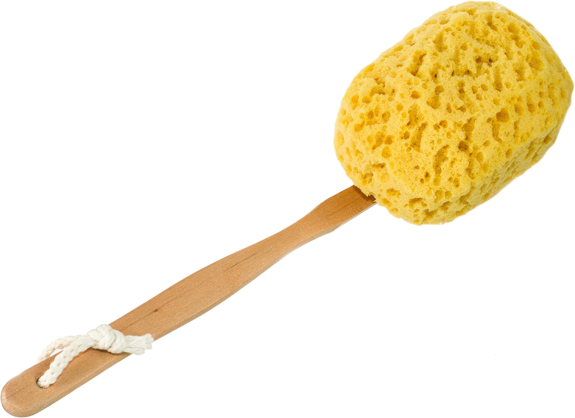 Bath & Shower Body Brush, Long Handled, Faux Sea Sponge Back Scrubber