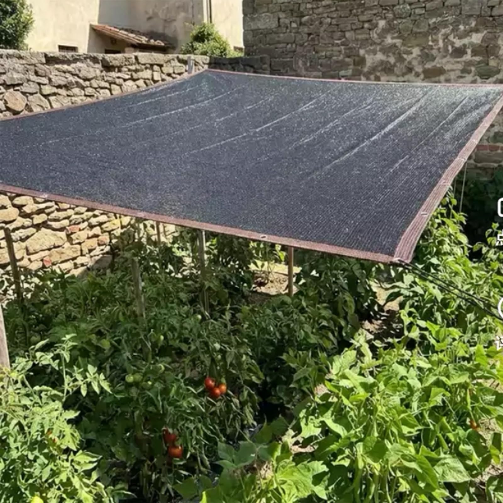 60% UV Proecion Shade Cloh90% czarny hermal BlockouearResisan Oudoor Screen Różne rozmiary do kwiatów i parkingu (3 x 9 m)