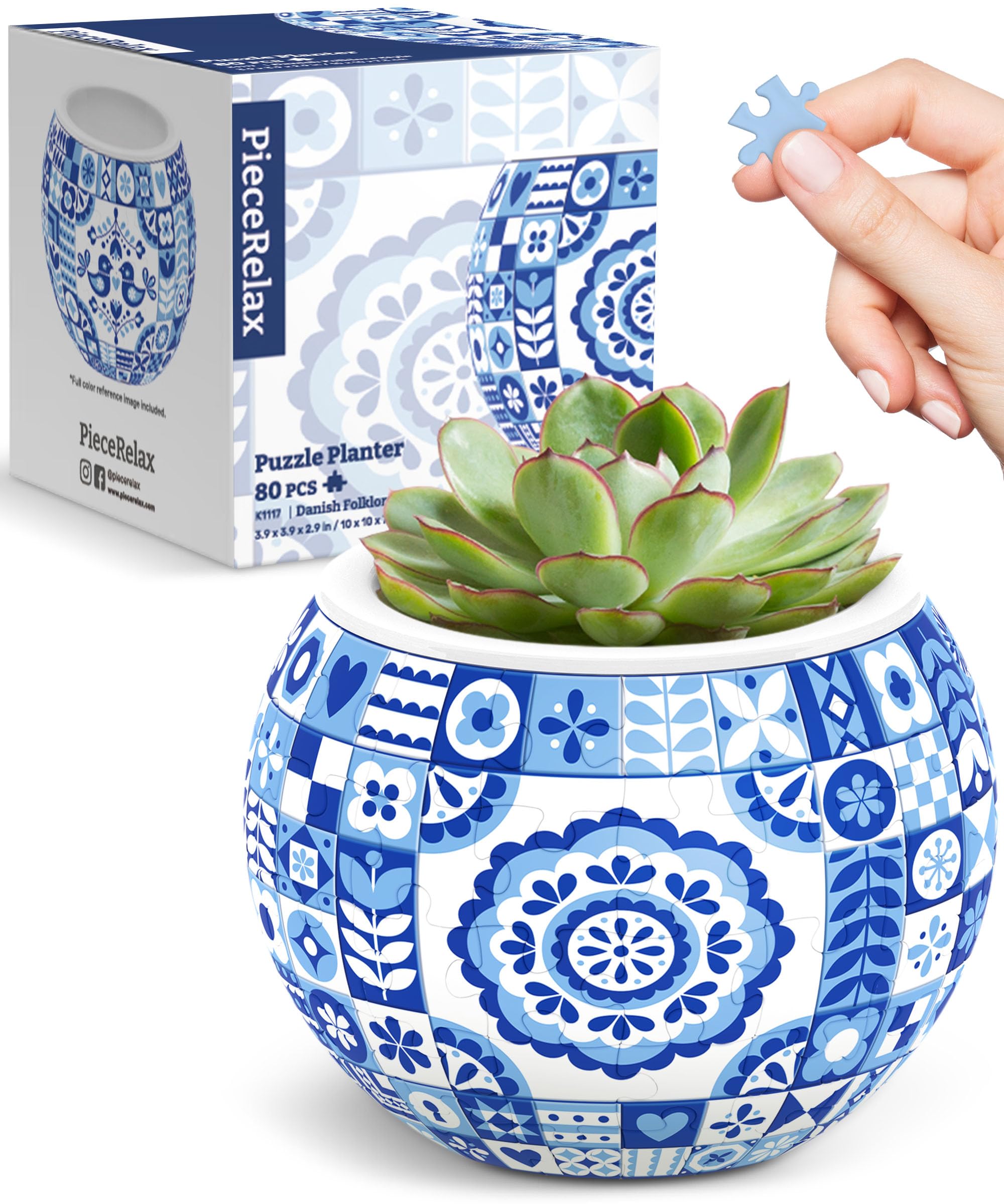 Cactus d'intérieur en Puzzle 3D Pot de Fleurs avec Drainage