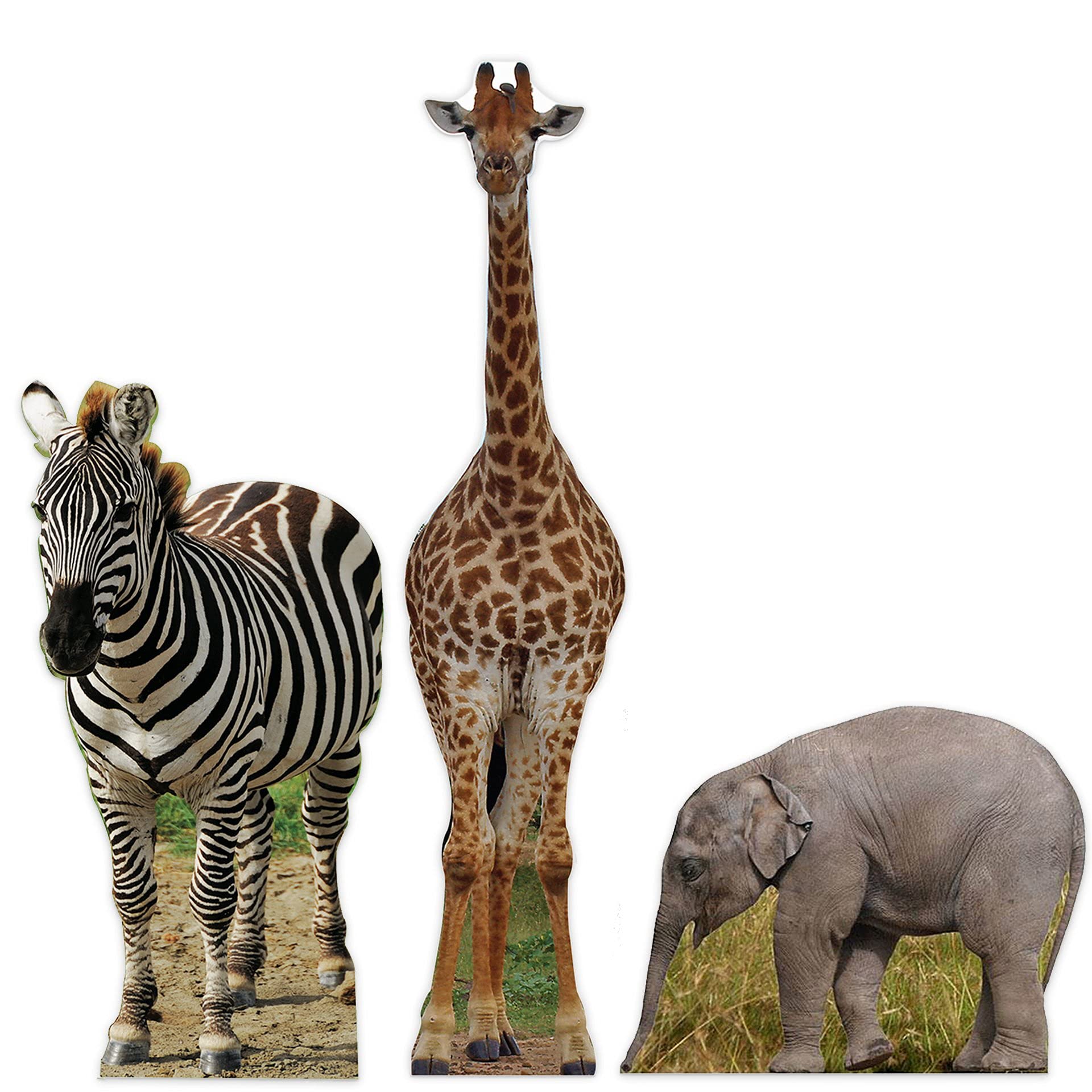 Buy Wild Jungle Safari Animal Set of 3 Cardboard Cutouts Standee