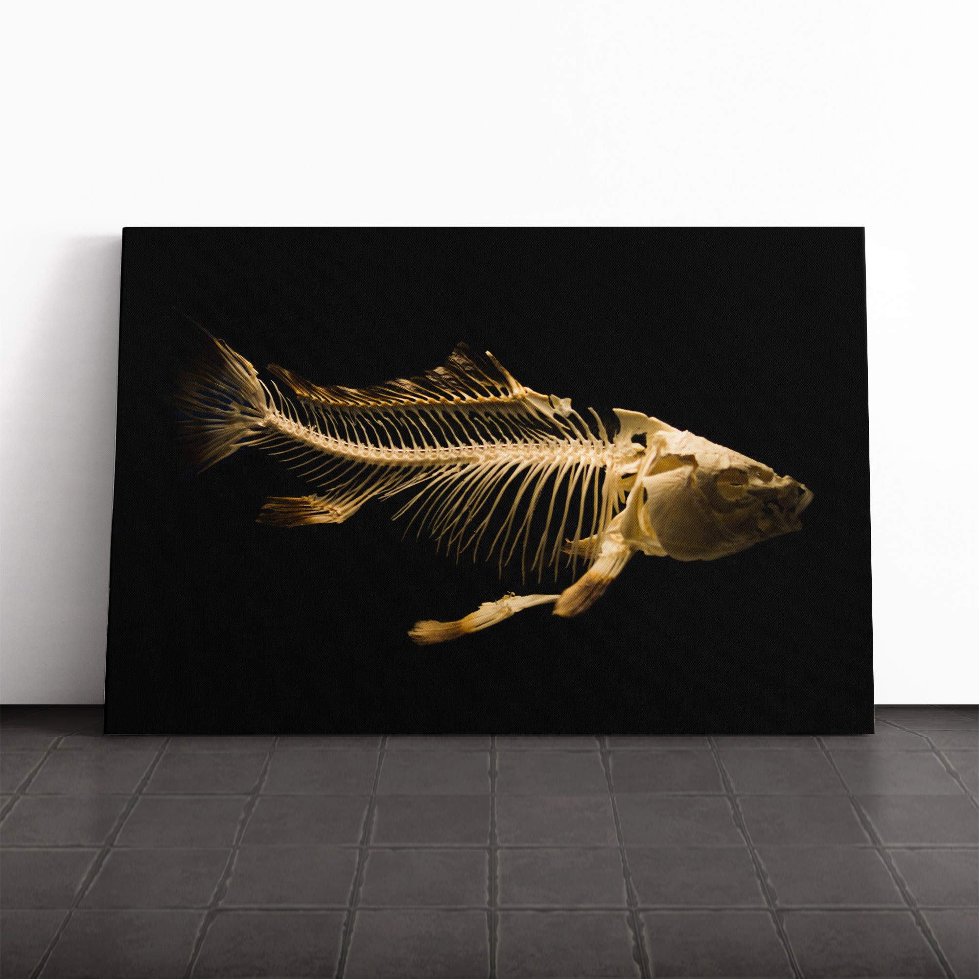 Fish Skeleton Canvas Print | Gallery Wrapped 30mm Frame Wall Art | 24x16 inches | Ready to Hang | Modern Animals Picture | Living Room Bedroom Lounge Office