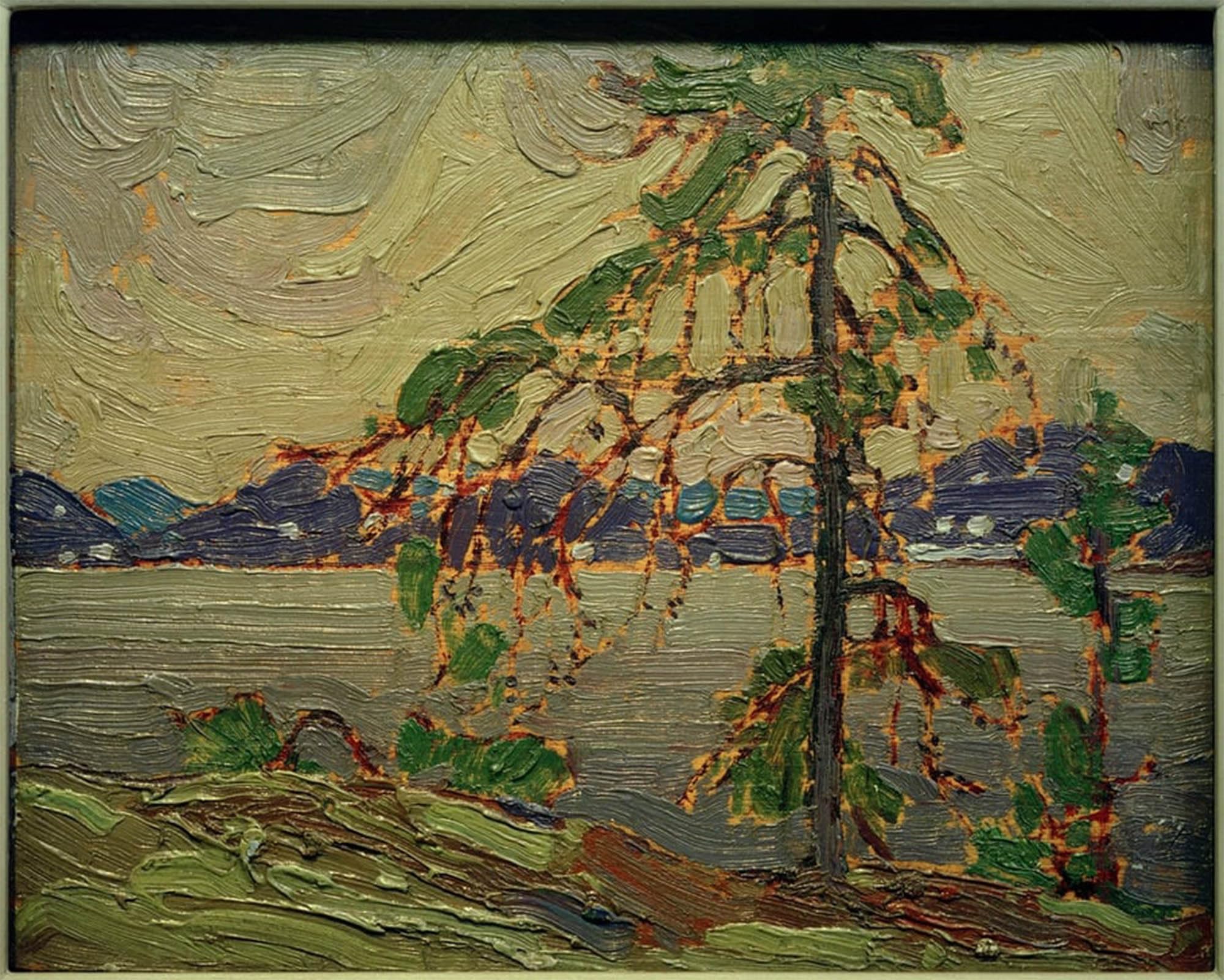 Cuadro en lienzo il Pine de Tom Thomson de gran formato para despachos selectos 5