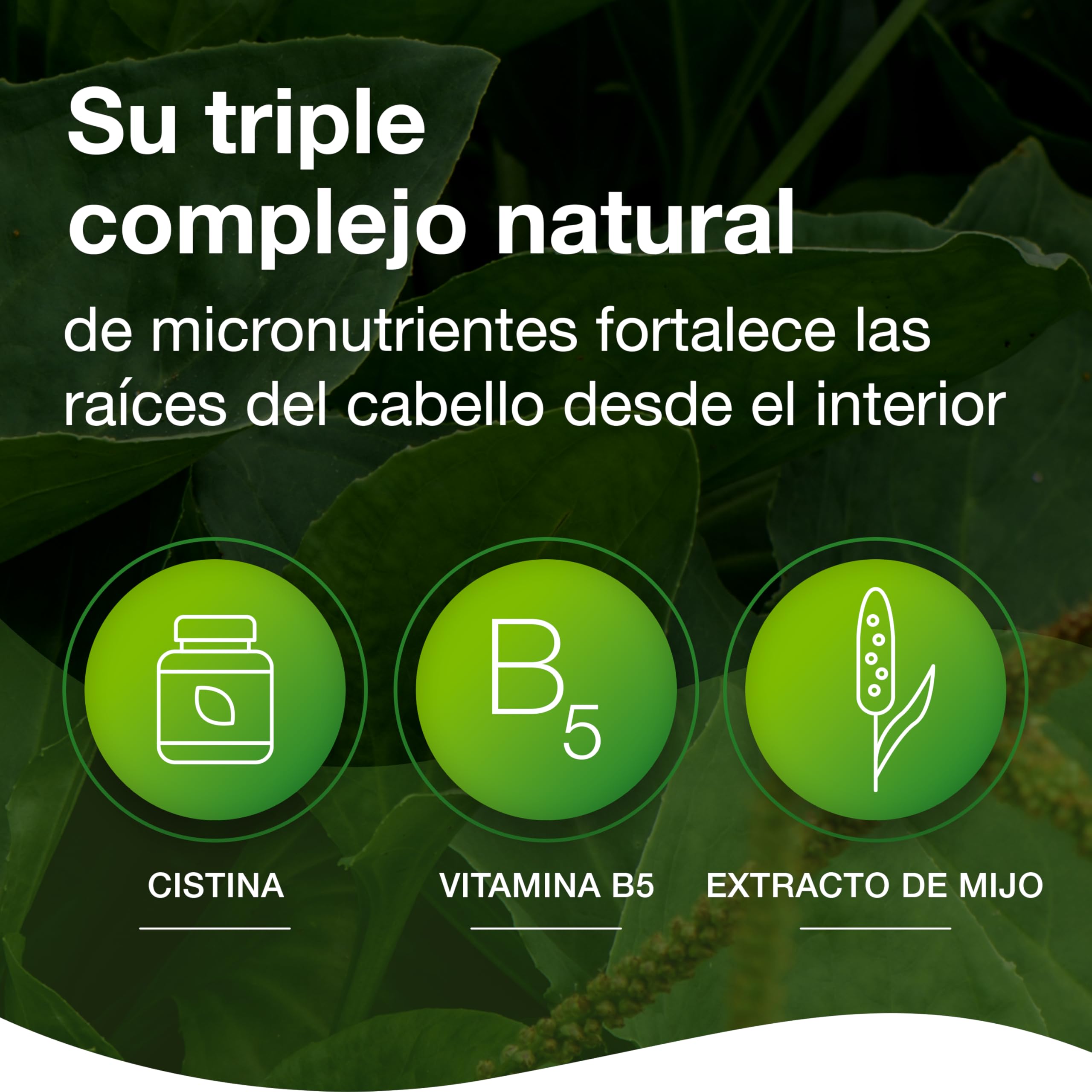 Priorin Cápsulas Complemento Alimenticio con Biotina, L-Cistina, Extracto de Mijo y Ácido Pantoténico, para Mantener un Cabello Sano, 60 Cápsulas